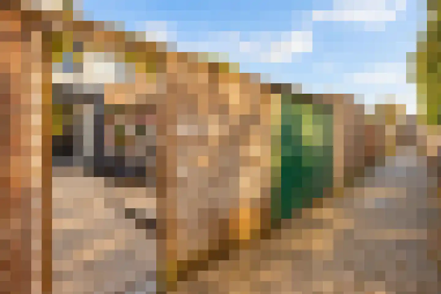 Dorus Rijkersstraat 41 Reeuwijk thumbnail 54
