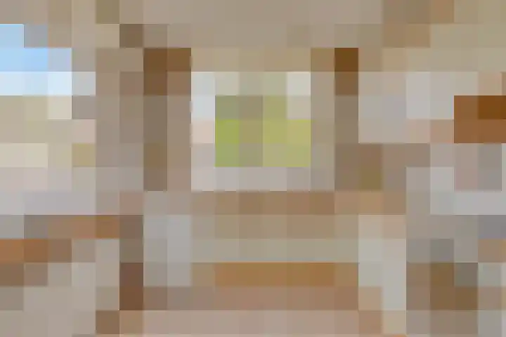 Dorus Rijkersstraat 43 Dinteloord thumbnail 11