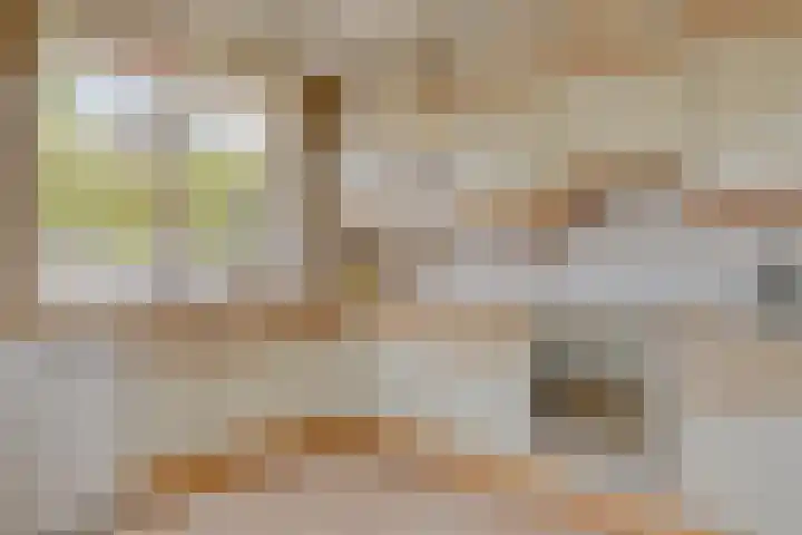 Dorus Rijkersstraat 43 Dinteloord thumbnail 12