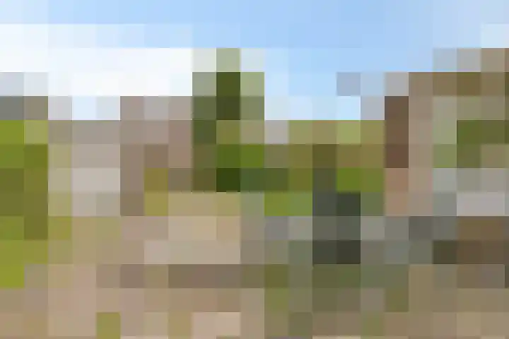 Dorus Rijkersstraat 43 Dinteloord thumbnail 13