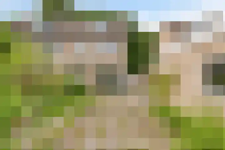 Dorus Rijkersstraat 43 Dinteloord thumbnail 14