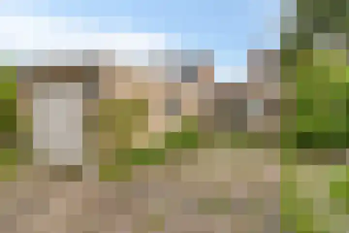 Dorus Rijkersstraat 43 Dinteloord thumbnail 15
