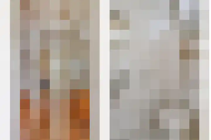 Dorus Rijkersstraat 43 Dinteloord thumbnail 17