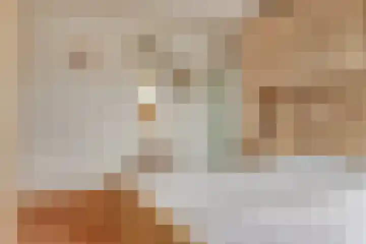 Dorus Rijkersstraat 43 Dinteloord thumbnail 20