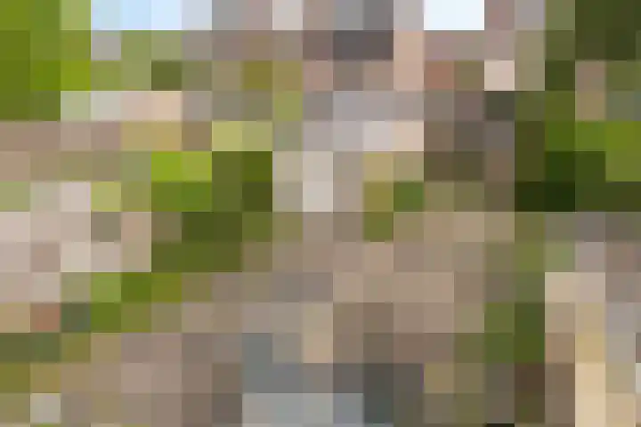 Dorus Rijkersstraat 43 Dinteloord thumbnail 21