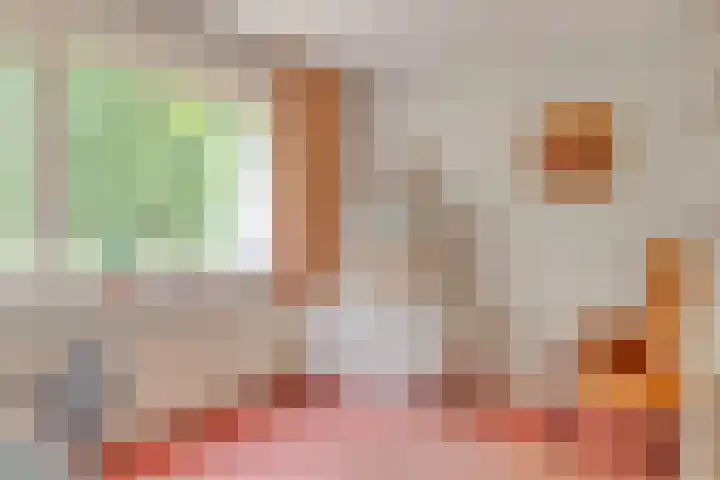 Dorus Rijkersstraat 43 Dinteloord thumbnail 22