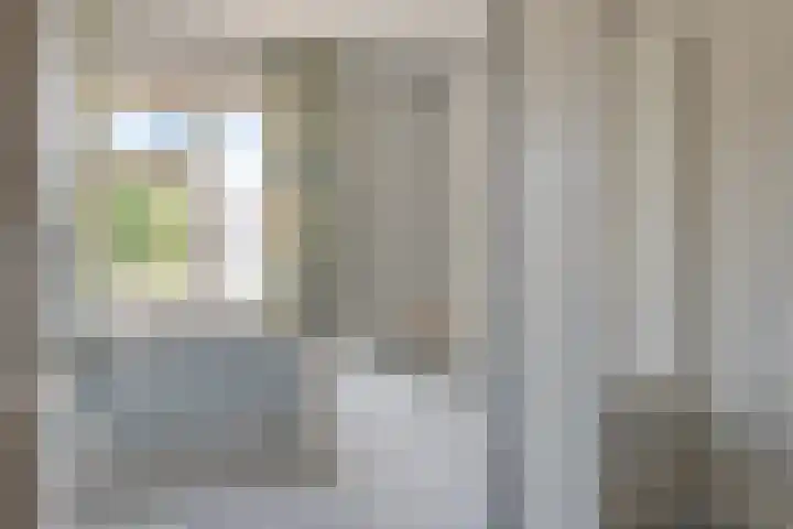 Dorus Rijkersstraat 43 Dinteloord thumbnail 23