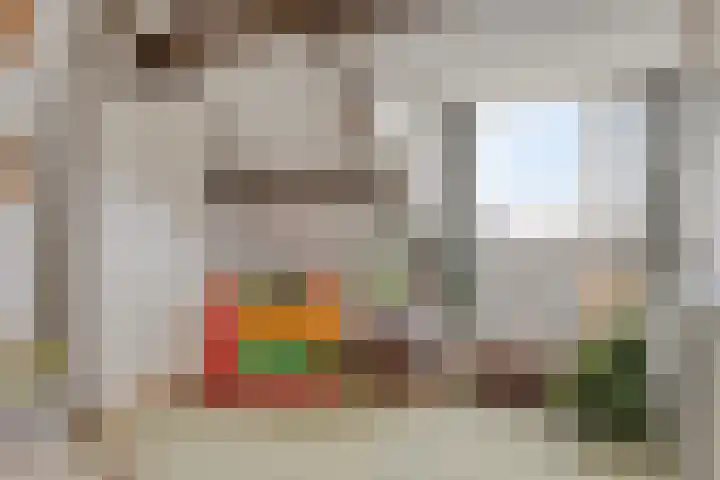 Dorus Rijkersstraat 43 Dinteloord thumbnail 28