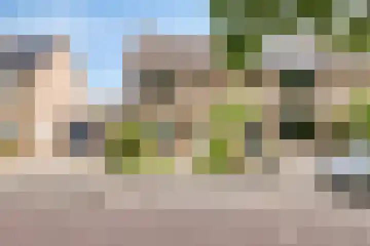 Dorus Rijkersstraat 43 Dinteloord thumbnail 29