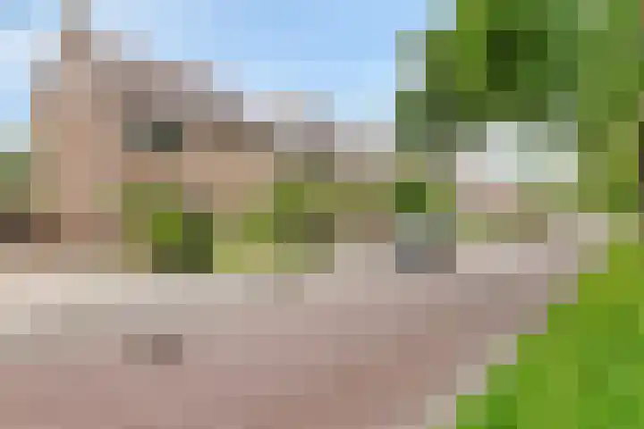Dorus Rijkersstraat 43 Dinteloord thumbnail 30