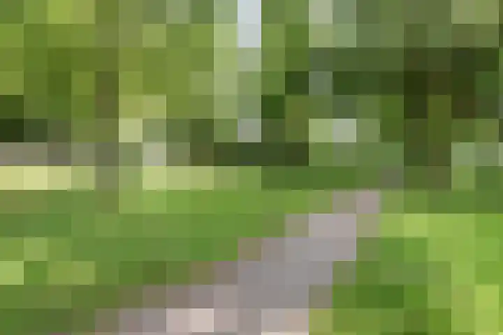 Dorus Rijkersstraat 43 Dinteloord thumbnail 31