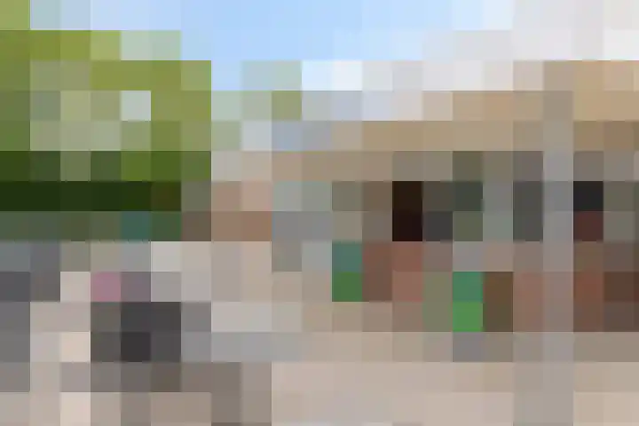 Dorus Rijkersstraat 43 Dinteloord thumbnail 32
