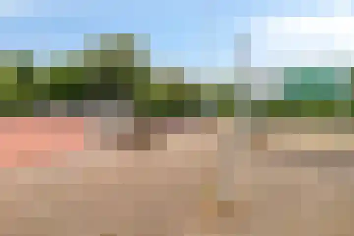 Dorus Rijkersstraat 43 Dinteloord thumbnail 33