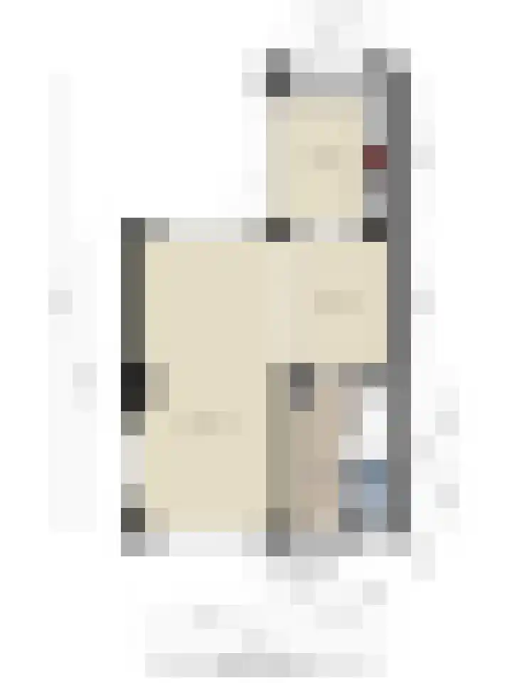 Dorus Rijkersstraat 43 Dinteloord thumbnail 34