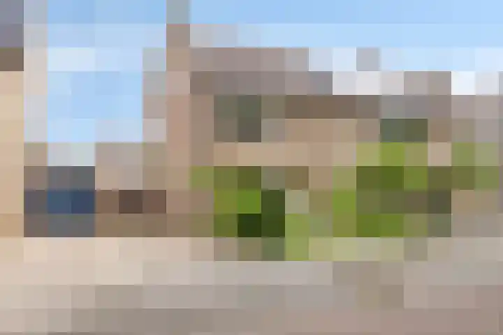 Dorus Rijkersstraat 43 Dinteloord thumbnail 38