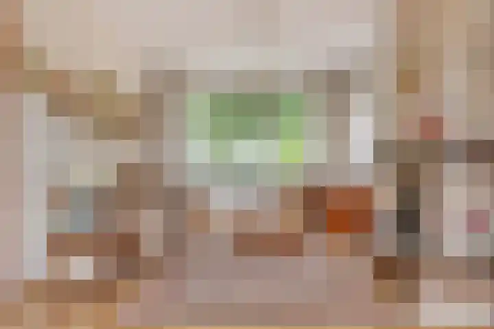 Dorus Rijkersstraat 43 Dinteloord thumbnail 5