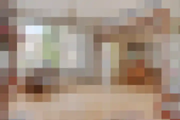 Dorus Rijkersstraat 43 Dinteloord thumbnail 7