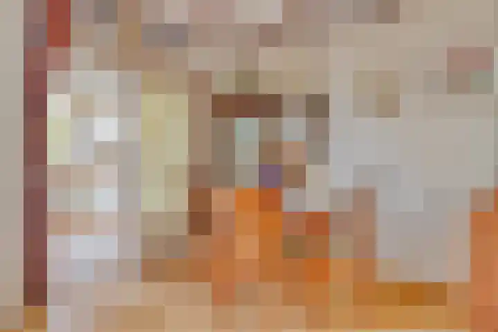 Dorus Rijkersstraat 43 Dinteloord thumbnail 9