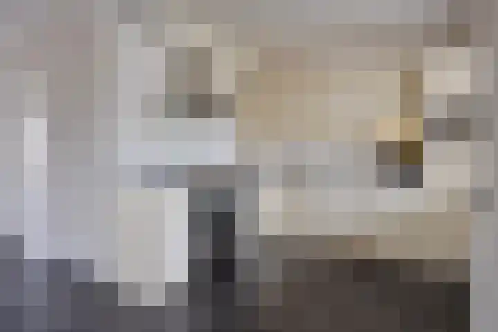 Dorus Rijkersstraat 47 Dinteloord thumbnail 11