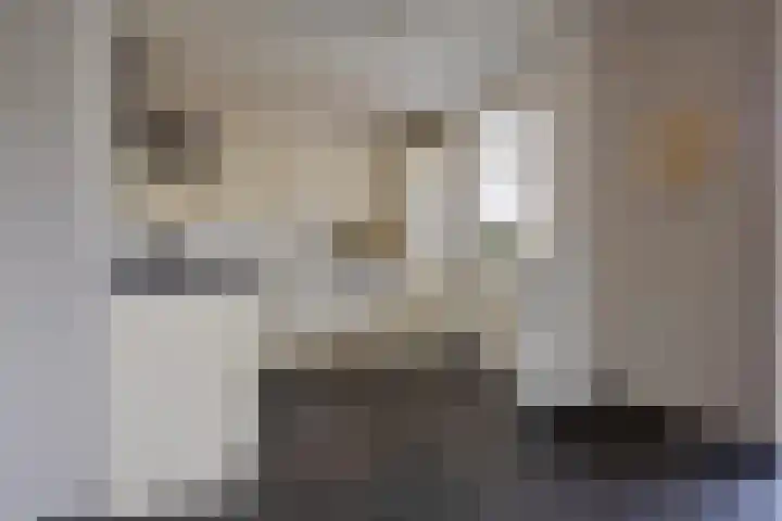 Dorus Rijkersstraat 47 Dinteloord thumbnail 12