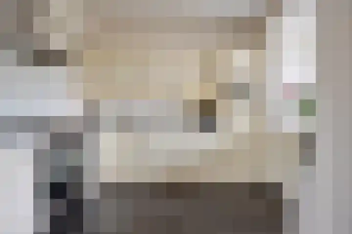 Dorus Rijkersstraat 47 Dinteloord thumbnail 13