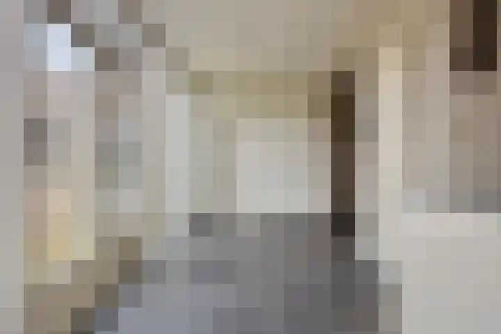 Dorus Rijkersstraat 47 Dinteloord thumbnail 17