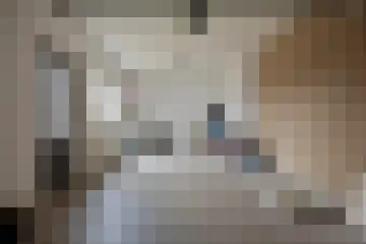 Dorus Rijkersstraat 47 Dinteloord thumbnail 18