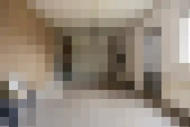 Dorus Rijkersstraat 47 Dinteloord thumbnail 19