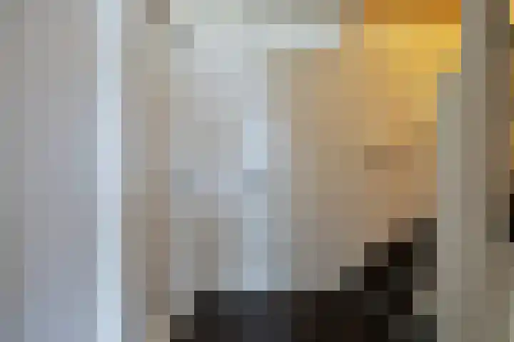 Dorus Rijkersstraat 47 Dinteloord thumbnail 20