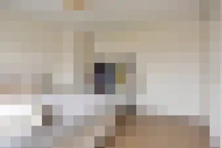 Dorus Rijkersstraat 47 Dinteloord thumbnail 22