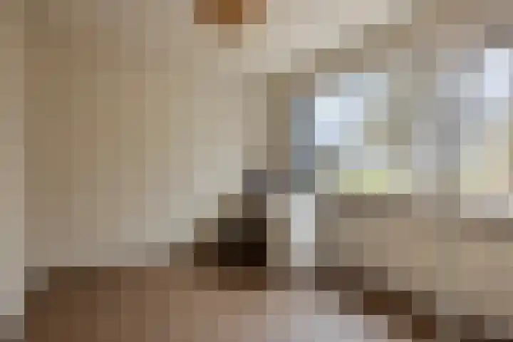 Dorus Rijkersstraat 47 Dinteloord thumbnail 25