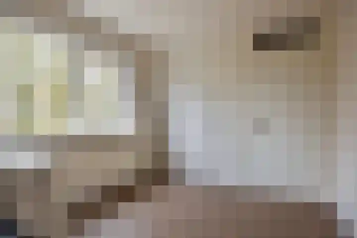 Dorus Rijkersstraat 47 Dinteloord thumbnail 26