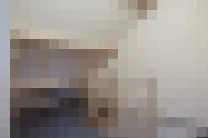 Dorus Rijkersstraat 47 Dinteloord thumbnail 29