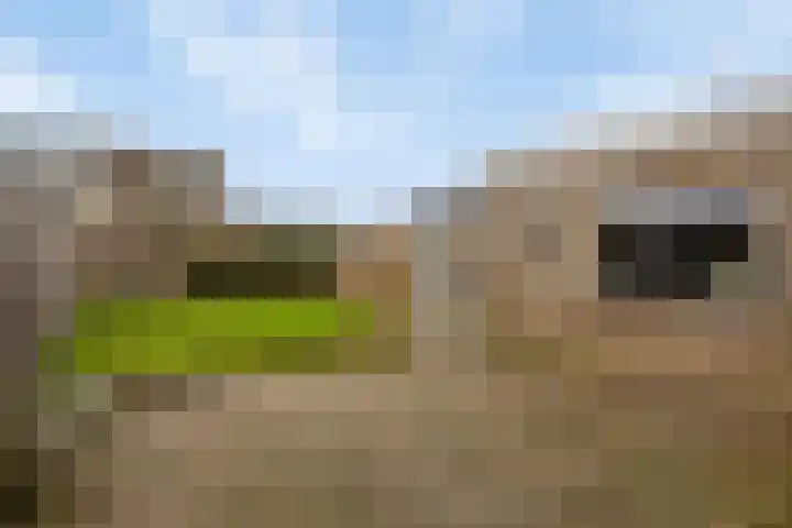 Dorus Rijkersstraat 47 Dinteloord thumbnail 32
