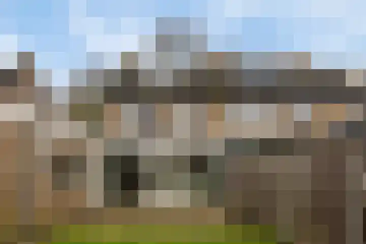 Dorus Rijkersstraat 47 Dinteloord thumbnail 34