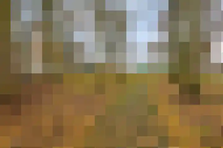Dorus Rijkersstraat 47 Dinteloord thumbnail 37