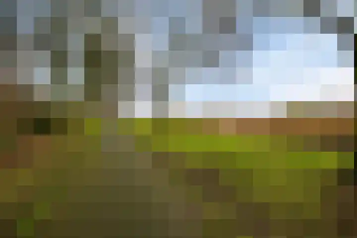 Dorus Rijkersstraat 47 Dinteloord thumbnail 39
