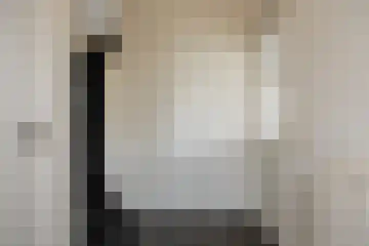 Dorus Rijkersstraat 47 Dinteloord thumbnail 4