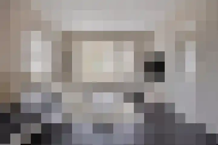 Dorus Rijkersstraat 47 Dinteloord thumbnail 6