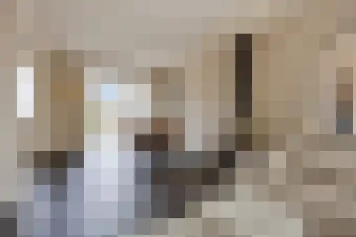 Dorus Rijkersstraat 47 Dinteloord thumbnail 7