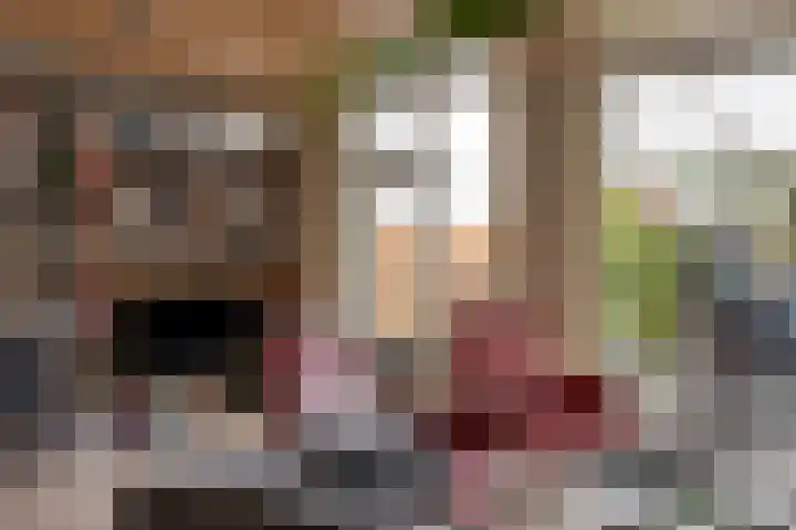 Dorus Rijkersstraat 57 Dinteloord thumbnail 11
