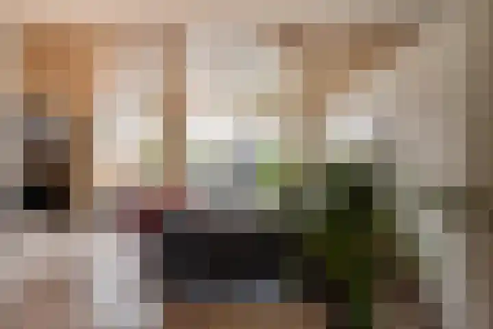 Dorus Rijkersstraat 57 Dinteloord thumbnail 12