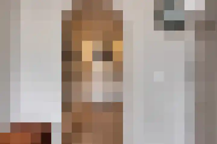 Dorus Rijkersstraat 57 Dinteloord thumbnail 14