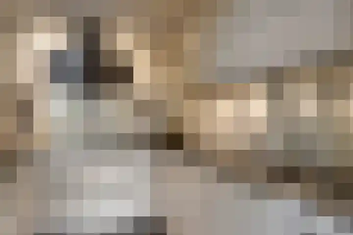 Dorus Rijkersstraat 57 Dinteloord thumbnail 15