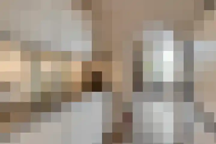 Dorus Rijkersstraat 57 Dinteloord thumbnail 16