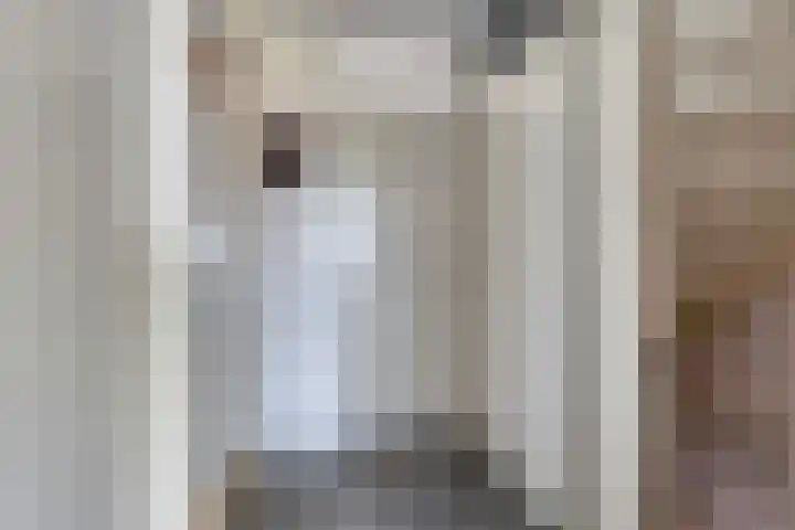 Dorus Rijkersstraat 57 Dinteloord thumbnail 18