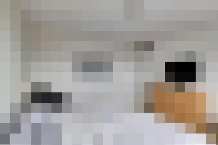 Dorus Rijkersstraat 57 Dinteloord thumbnail 20