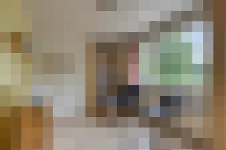 Dorus Rijkersstraat 57 Dinteloord thumbnail 21