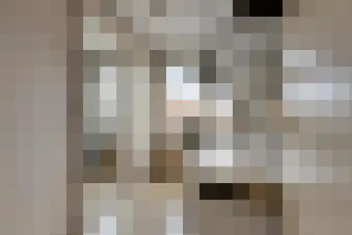 Dorus Rijkersstraat 57 Dinteloord thumbnail 22