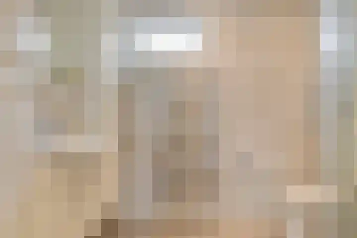 Dorus Rijkersstraat 57 Dinteloord thumbnail 23